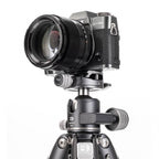 Benro Ball Head GX30