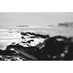 Lensbaby Composer Pro II with Edge 80 Nikon Z