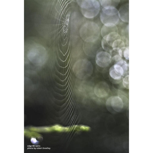 Lensbaby Composer Pro II with Edge 80 Nikon Z