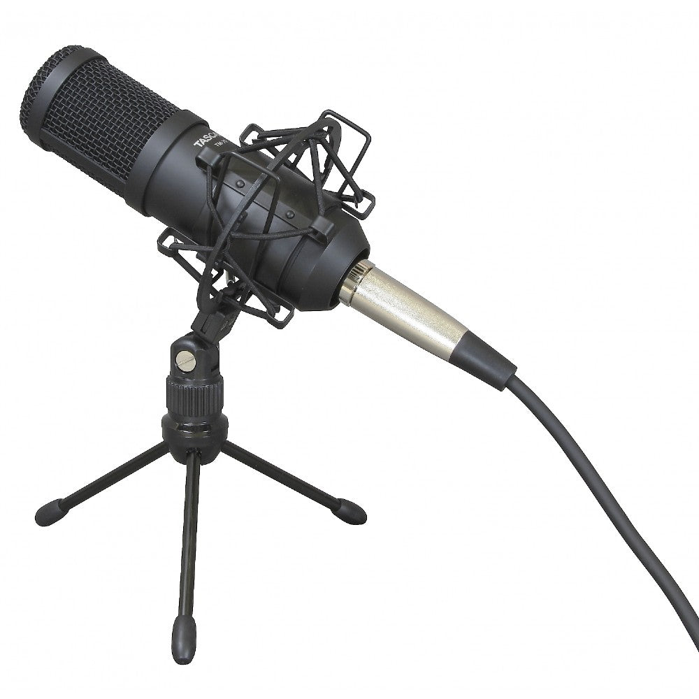 Tascam TM-70 microphone