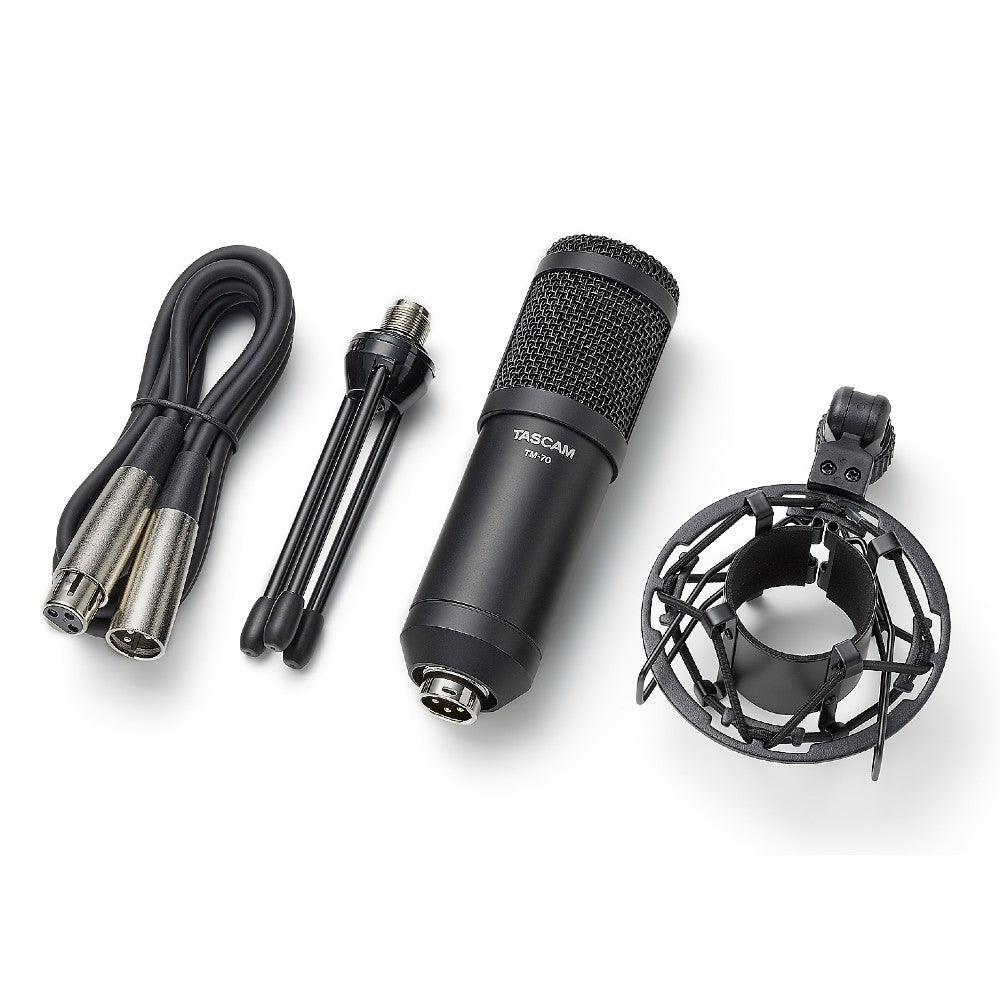 Tascam TM-70 microphone