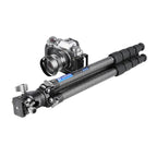 Leofoto Ranger LS-255C + Ball Head LH-30