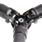 Leofoto Ranger LS-255C + Ball Head LH-30