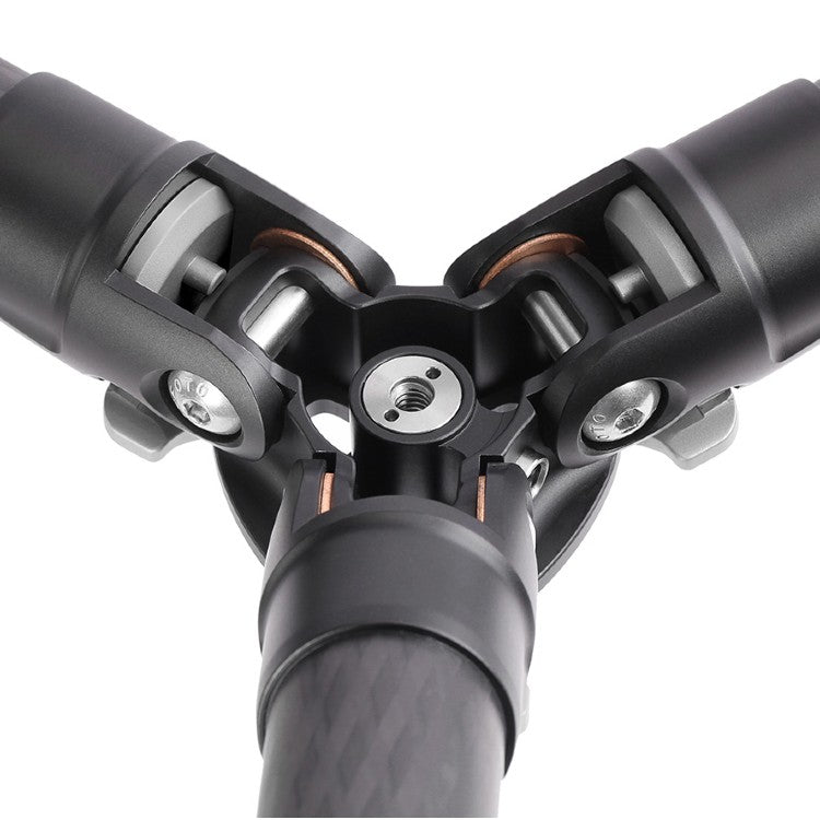 Leofoto Ranger LS-255C + Ball Head LH-30