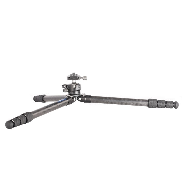 Leofoto Ranger LS-255C + Ball Head LH-30