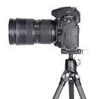 SUNWAYFOTO Ball Head XB-25