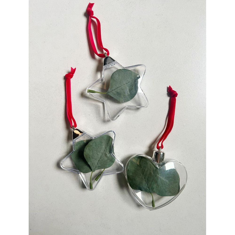 Deknudt Photo bauble S66FF1
