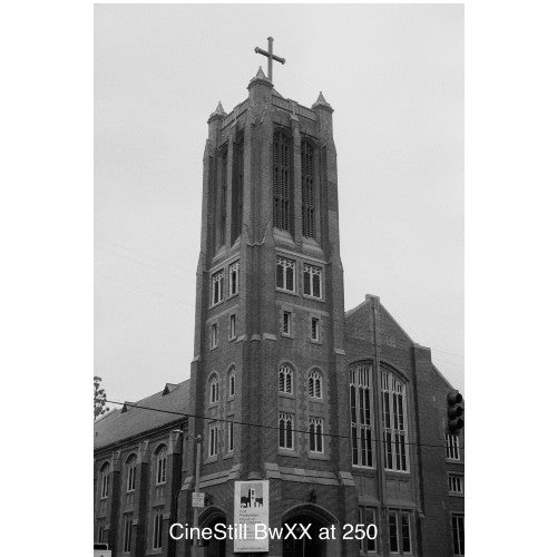 Cinestill DF 96 Monobath
