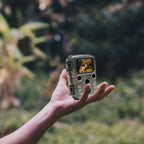 Braun Scouting Cam Black800 Mini Outdoor-Cam