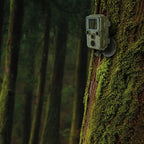 Braun Scouting Cam Black800 Mini Outdoor-Cam