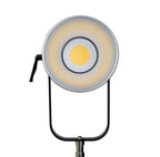 Nanlite Forza 720 LED light