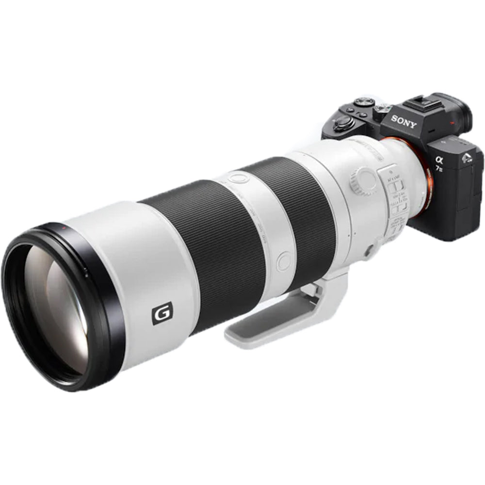 Sony A7 Mark IV + Sony FE 200-600mm