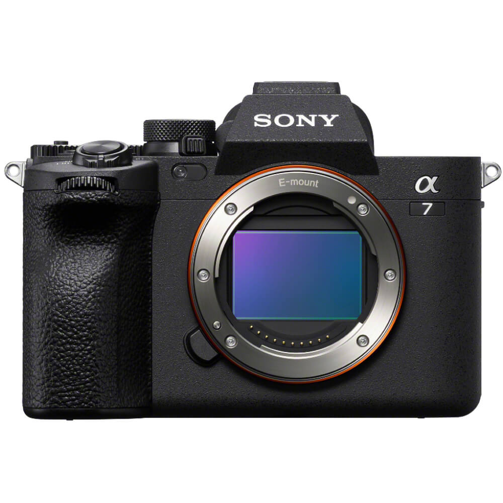 Sony A7 Mark IV + Sony FE 200-600mm