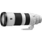Sony A7 Mark IV + Sony FE 200-600mm