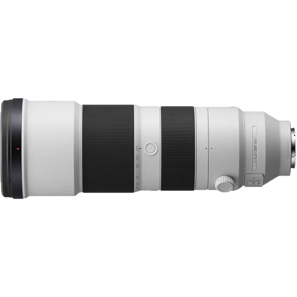 Sony A7 Mark IV + Sony FE 200-600mm