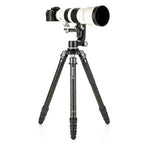 Benro Carbon Mammoth Tripod TMTH44C