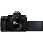 Panasonic Lumix DC-S5IIX + Lumix S 20-60mm f/3.5-5.6