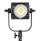 Nanlite FS200 Bi-Color LED Dual Kit (with Light Stand and Softbox)