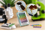 BRESSER JUNIOR experiment set with 24 permanent specimens microscope starter kit