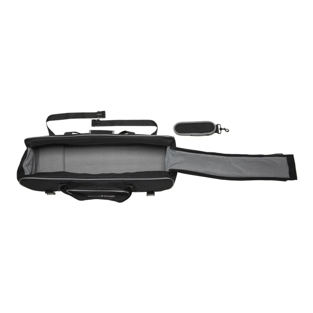 Godox Litemons LA200Bi Bi-colour Duo Kit
