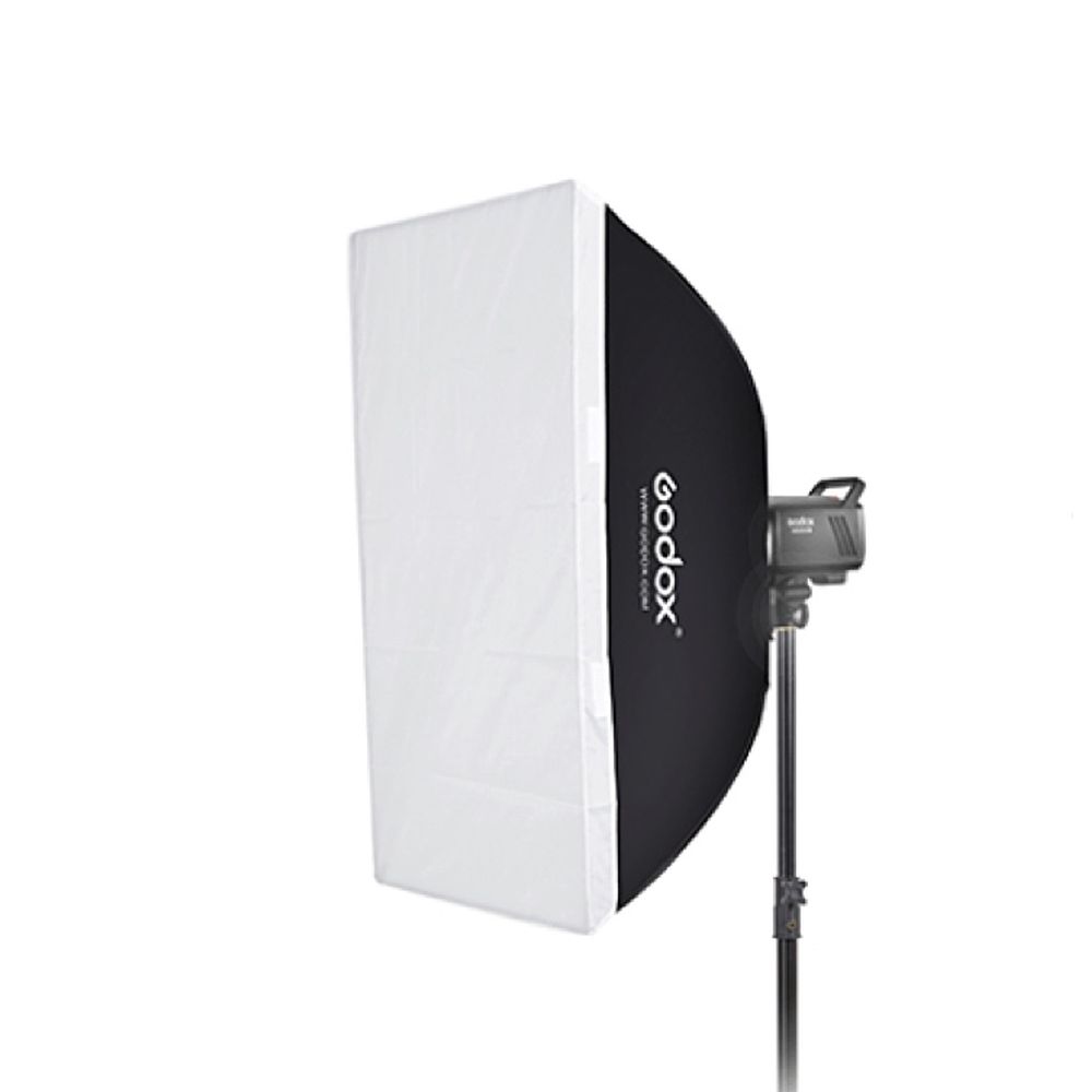 Godox Litemons LA200D Daylight Duo Kit