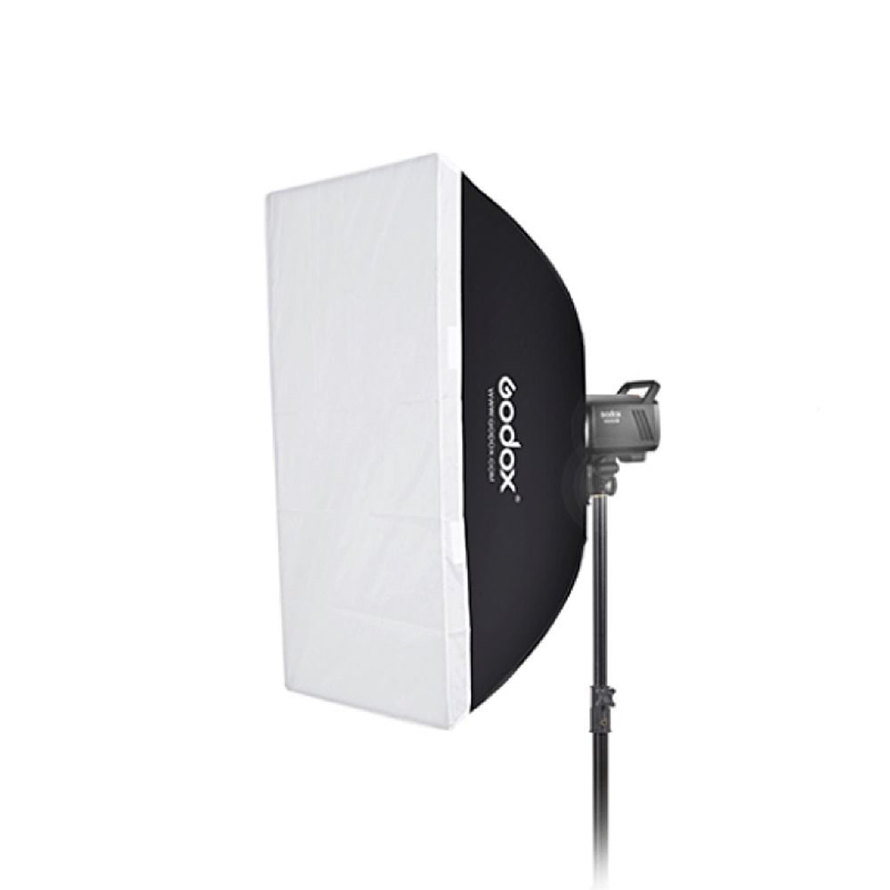 Godox MS200V-F Dual Studio Flash Kit