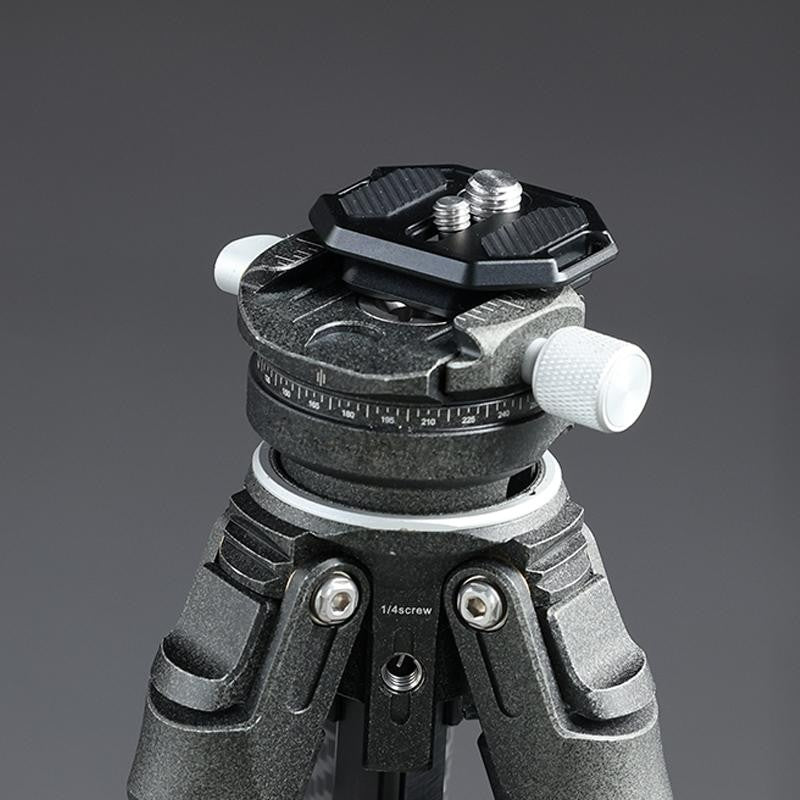 Falcam F38 Quick Release Dual Screw Thread Plate V2 2969A