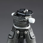 Falcam F38 Quick Release Dual Screw Thread Plate V2 2969A