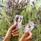 Fujifilm Instax Mini Film, Soft Lavender 1x10