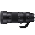 Sigma 100-400mm f/5-6.3 DG DN OS Contemporary FUJIFILM X + TS-111 Tripod collar