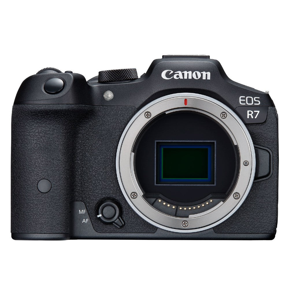 Canon EOS R7 + RF 100-400mm f/5.6-8 IS USM