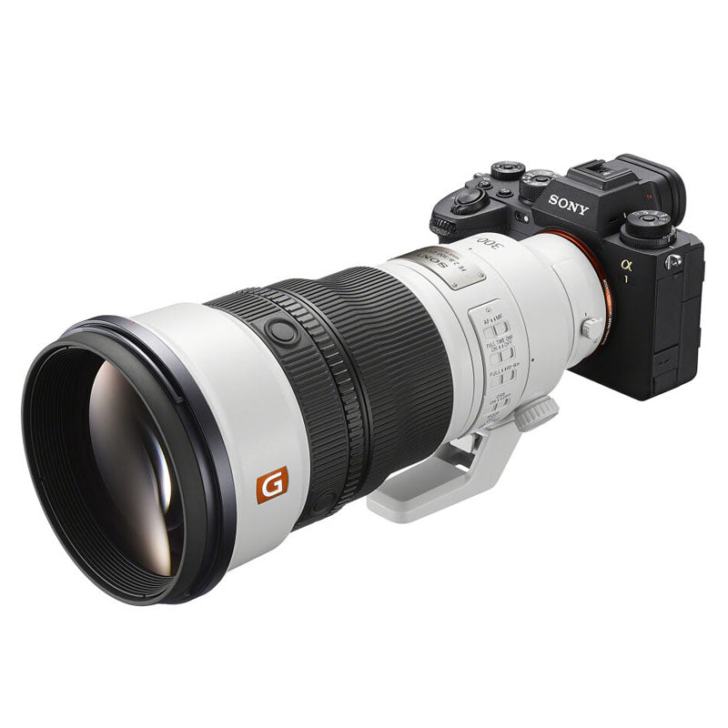 Sony FE 300mm f/2.8 GM OSS