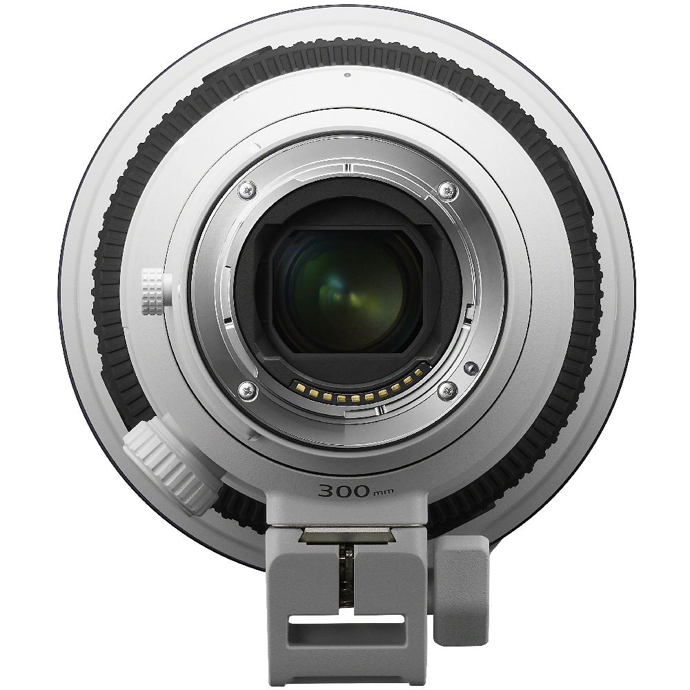 Sony FE 300mm f/2.8 GM OSS