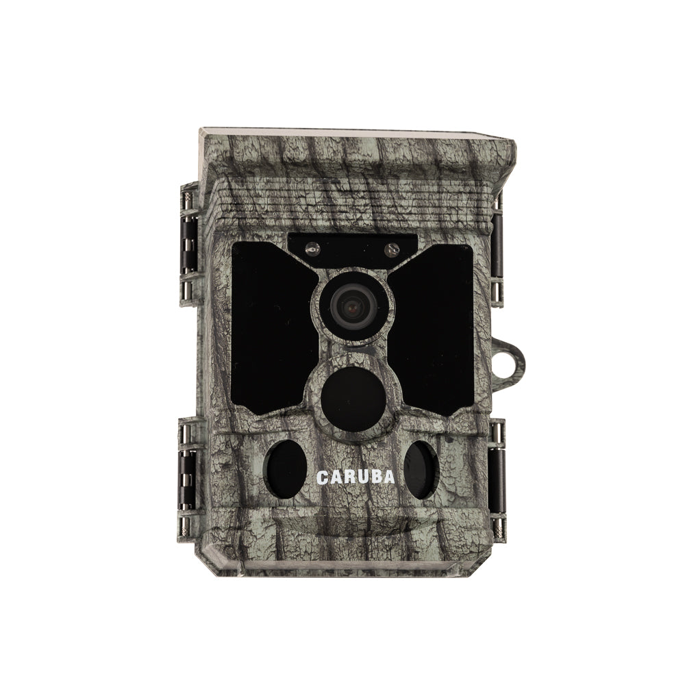 Caruba Wildlife Camera Raccoon Solar 4K