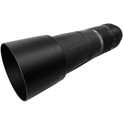 Canon EOS R8 body + RF 800mm f/11.0 IS STM