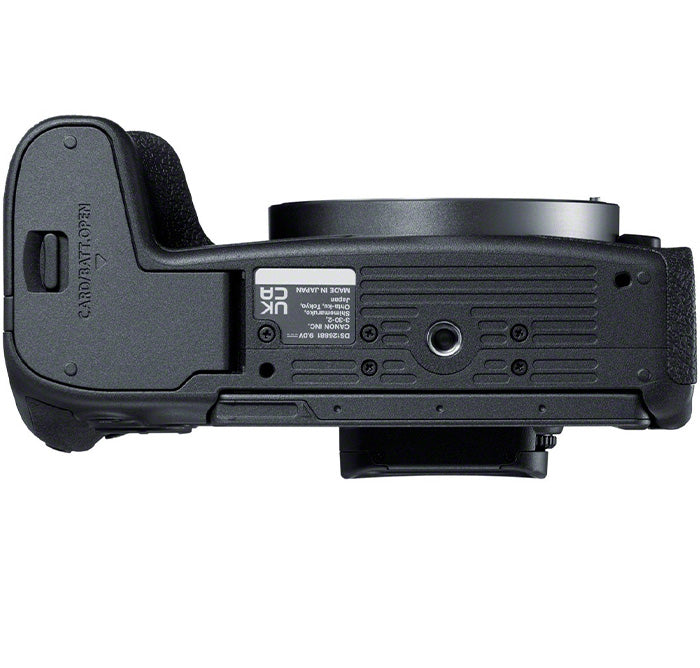 Canon EOS R8 body + RF 800mm f/11.0 IS STM