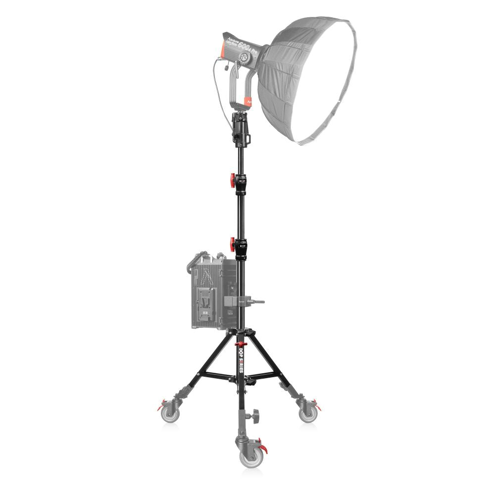 Shape Low Boy Dual Riser Stand Black/Chrome 6.4'