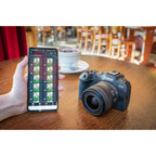 Canon EOS R8 + RF 24-50mm f/4.5-6.3 IS STM + RF 35mm f/1.8 IS Macro STM