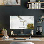 Alogic Clarity Max 32" UHD 4K Monitor / 65W PD