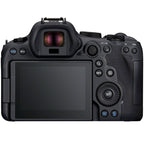 Canon EOS R6 mark II + RF 24-240mm f/4-6.3 IS USM