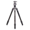 Benro Rhino Carbon Travel Tripod with Ball Head FRHN24CVX25
