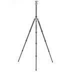 Benro Rhino Carbon Travel Tripod with Ball Head FRHN24CVX25