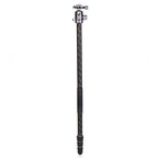 Benro Rhino Carbon Travel Tripod with Ball Head FRHN24CVX25