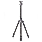 Benro Rhino Carbon Travel Tripod with Ball Head FRHN24CVX25