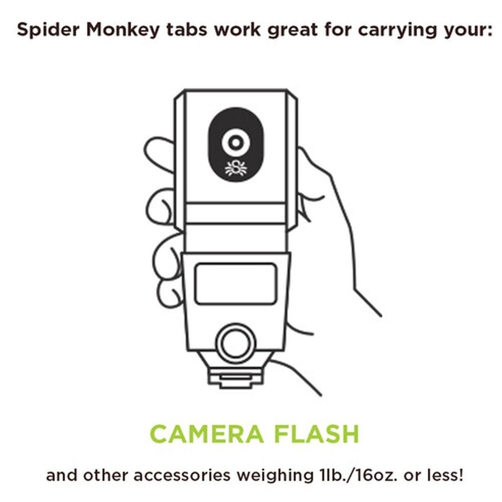 Spider SpiderMonkey (Base + Two Tabs)
