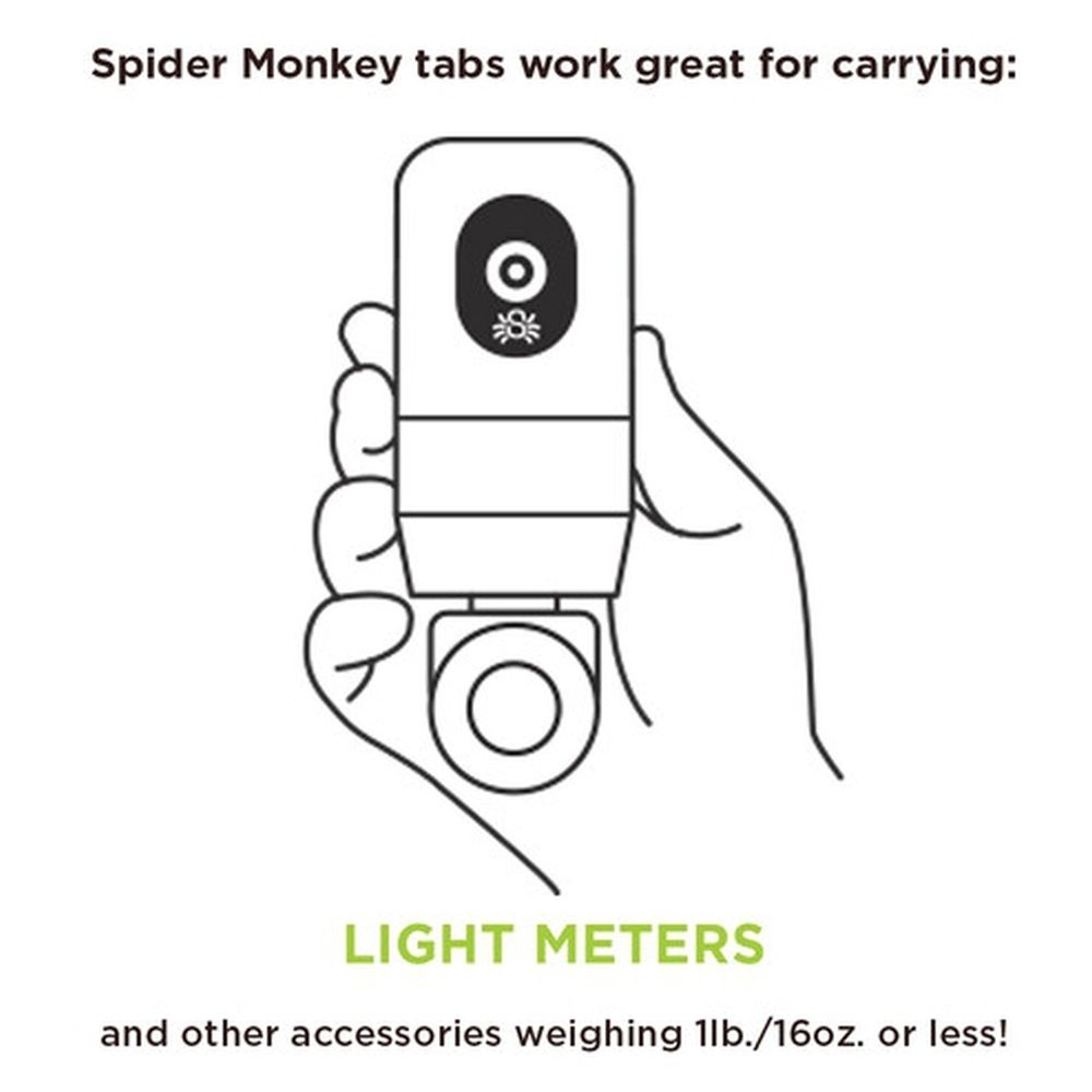Spider SpiderMonkey (Base + Two Tabs)