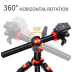 K&F Concept Trident-T Tripod