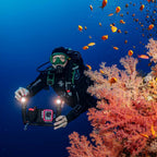 Sealife Sea Dragon 3000F Colour Boost COB LED Photo-Video Light Kit (incl. Grip, Single Tray, Case)
