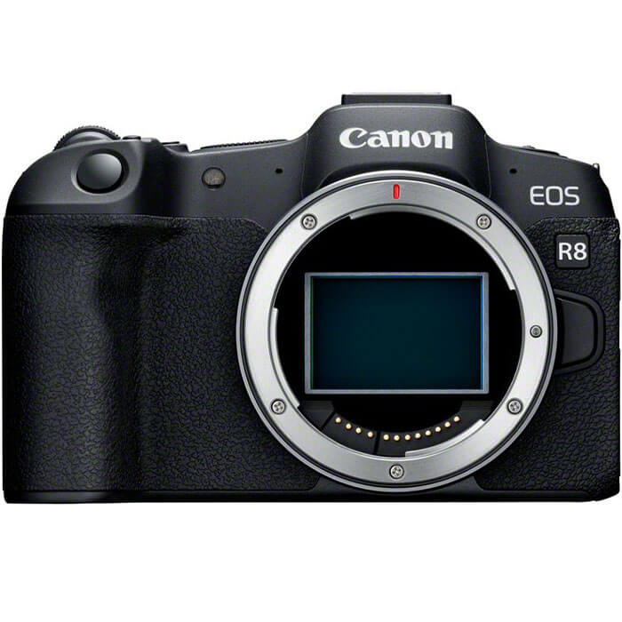 Canon EOS R8 + RF 24mm f/1.8 Macro IS STM