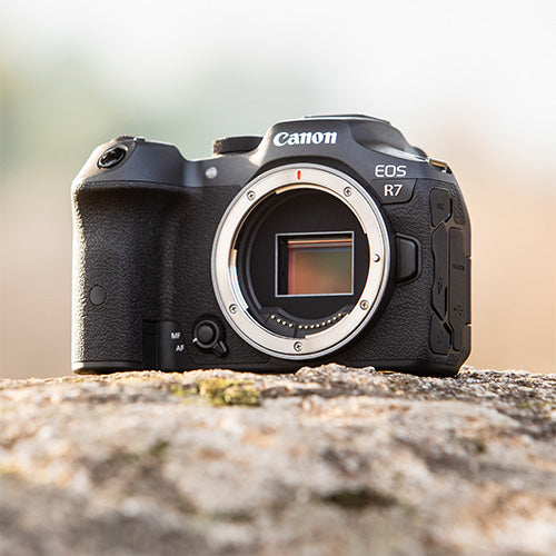 Canon EOS R7 + SIGMA 18-50mm f/2.8 DC DN Canon RF Mount